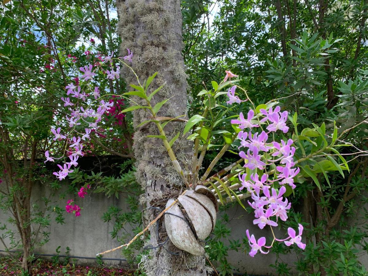 Stuart House Tangalle Exterior foto